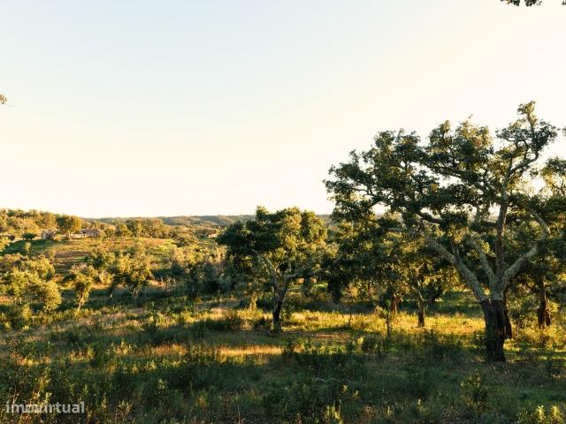 Propriedade investimento, vista mar, S. Francisco da Serra Melides