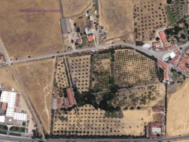 Propriedade nica em Beja