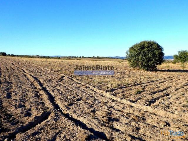 Propriedade plana, 17ha para plantações agrícolas. Portugal, Guarda, F. C. Rodrigo. | 26084062375