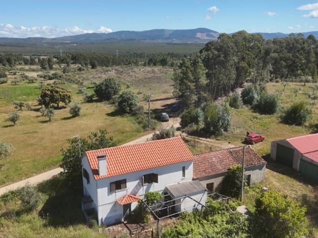 Propriedade rural urbana com oliveiras, anexos agrícolas e 38000m2 de terreno