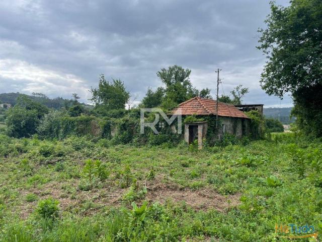 PROPRIEDADE RÚSTICA COM RUINA | RANS, PENAFIEL | 26084085373