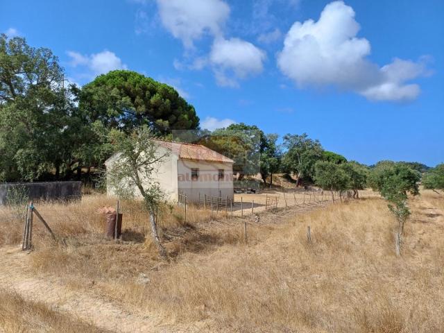 Propriedade Rústica de 8 Hectares em Melides Excelente Oportunidade