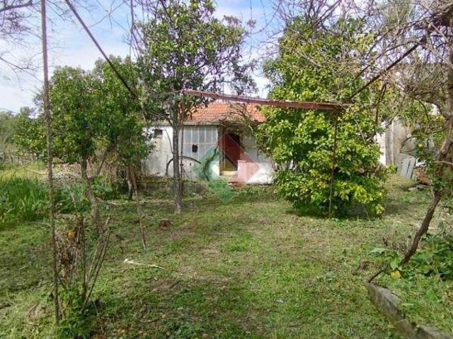 Propriedade rústica, para venda, Ponte de Sor Ponte de Sor | 26063611807