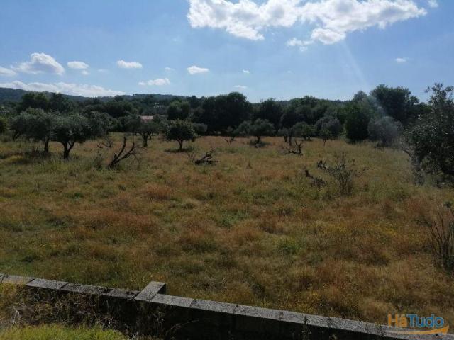 Propriedade rústica_Vargem Portalegre | 26082836640