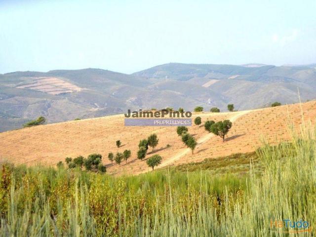 Propriedade rústica 19.000m2, Agrícola, Pinhal. Portugal, Bragança, Poiares. | 26083835252