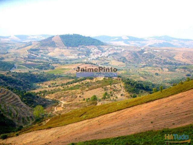Propriedade rústica 70.000m2, em Ligares. Portugal, Bragança, Freixo E. à Cinta, Ligares. | 26083835253