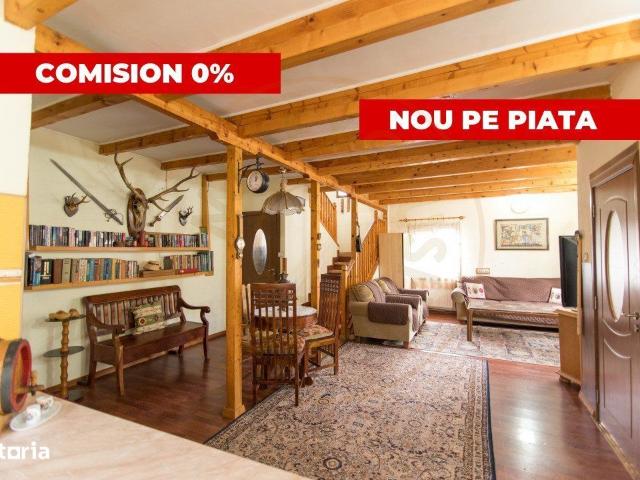 Proprietate deosebita cu vedere panoramica la 10 km de Mioveni. Comisi