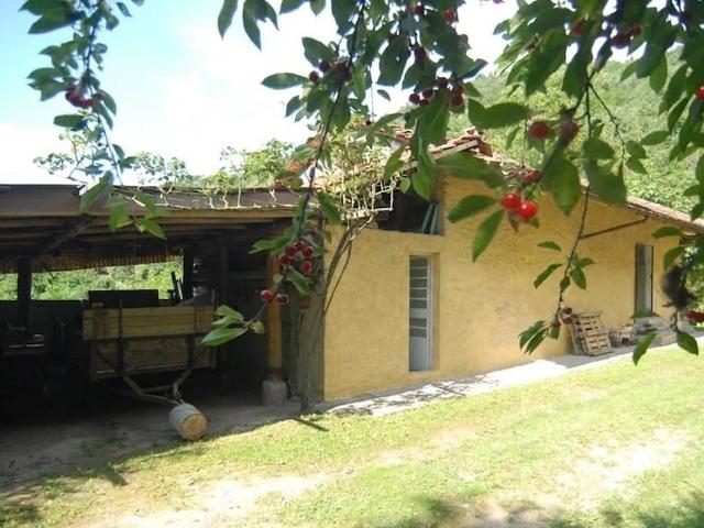 Proprietà composta da due fabbricati con 9,5 ha di terreno 370m² Bosia