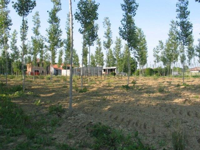Proprietà rustica in vendita di 150 m²