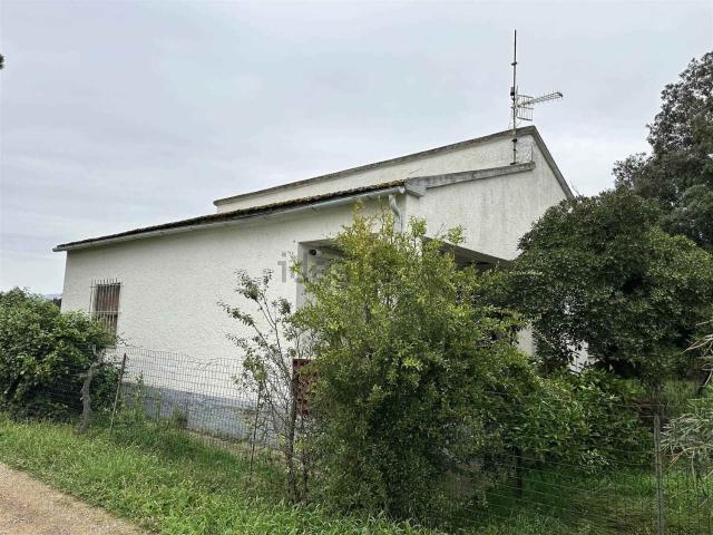 Proprietà rustica in vendita di 1510 m²