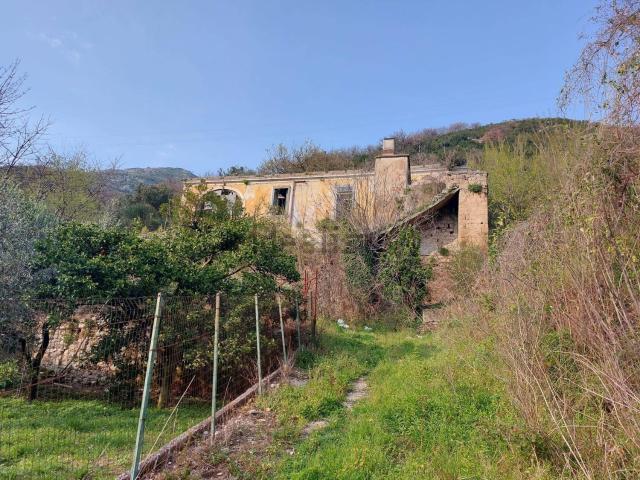 Proprietà rustica in vendita di 15394 m²