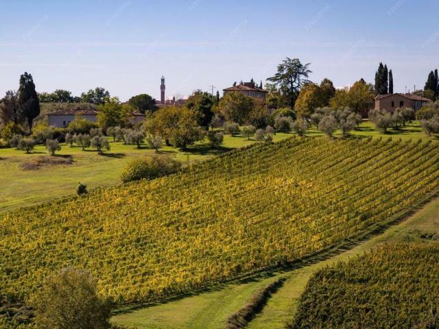 Castello in vendita di 1618 m² in Via Roma
