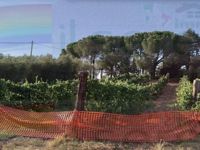 Proprietà rustica in vendita di 180 m² in Strada Provinciale Campagnatico