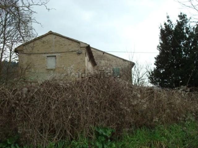 Proprietà rustica in vendita di 1000 m² in Strada del Castagneto