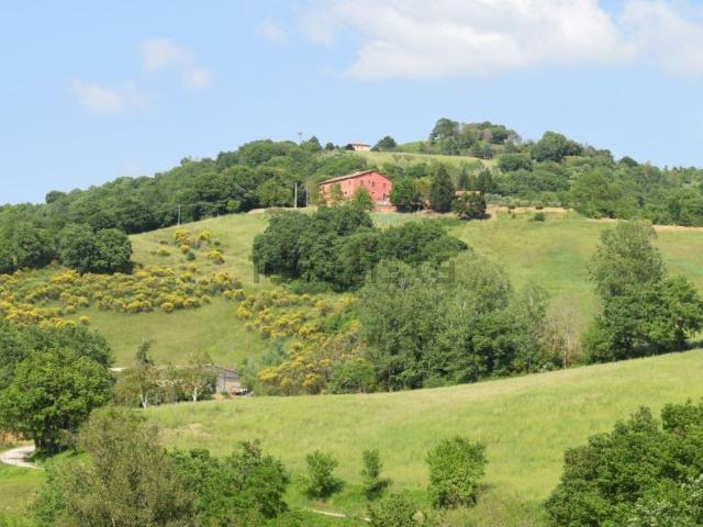 Proprietà rustica in vendita di 1050 m² in Piazza Fortebraccio, 2