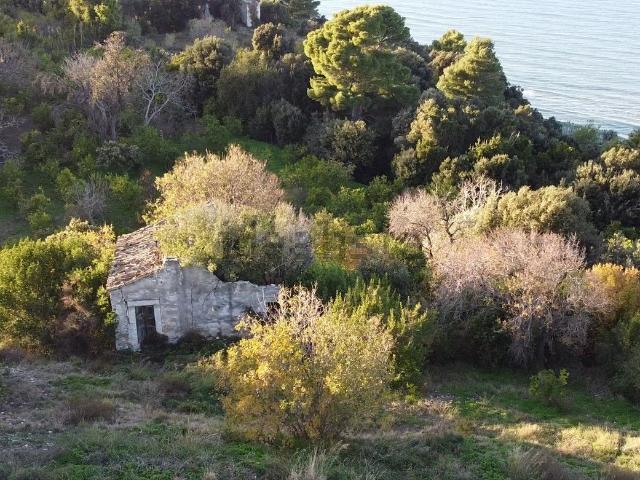 Proprietà rustica in vendita di 13300 m² in Contrada Mulino di Mare
