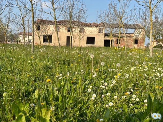 Proprietà rustica in vendita di 240 m²