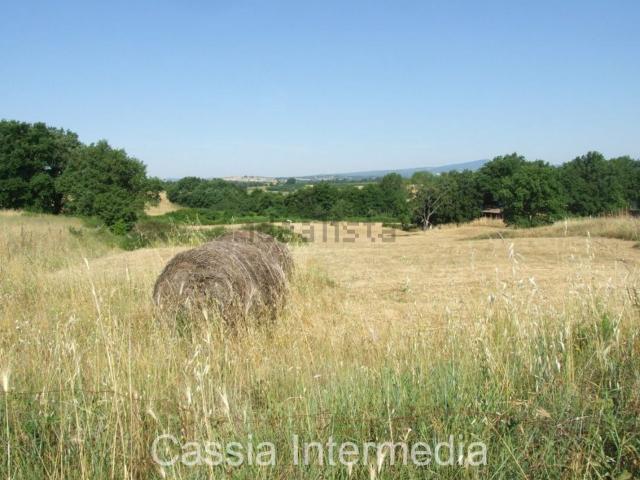 Proprietà rustica in vendita di 2500 m² in Via del Cerro, 102