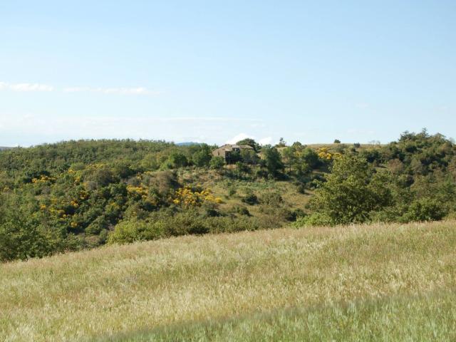Proprietà rustica in vendita di 250 m² in Strada Provinciale 101