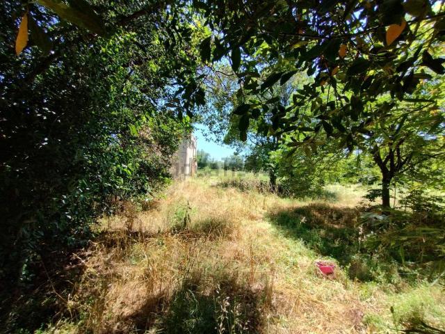 Proprietà rustica in vendita di 250 m² in Via Campo Minonno