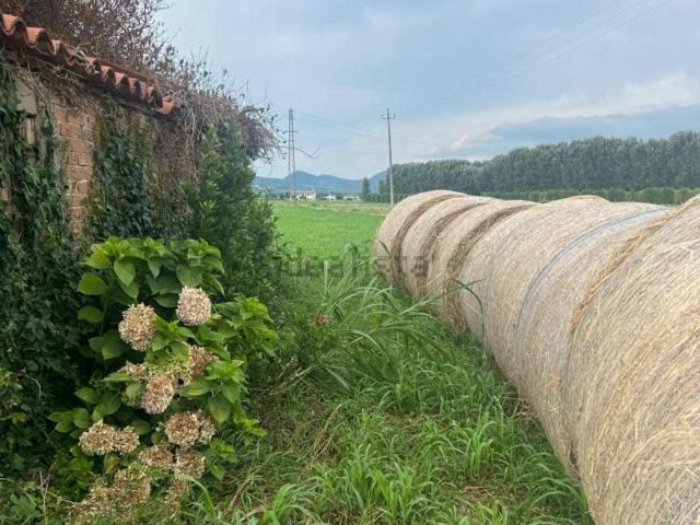 Proprietà rustica in vendita di 283 m² in Via Albere