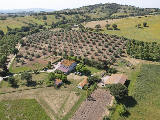 Proprietà rustica in vendita di 298 m² in Strada Provinciale Talamone