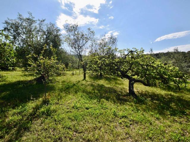 Proprietà rustica in vendita di 2000 m²