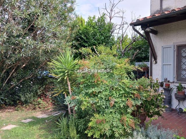 Proprietà rustica in vendita di 220 m² in Via degli Olmi