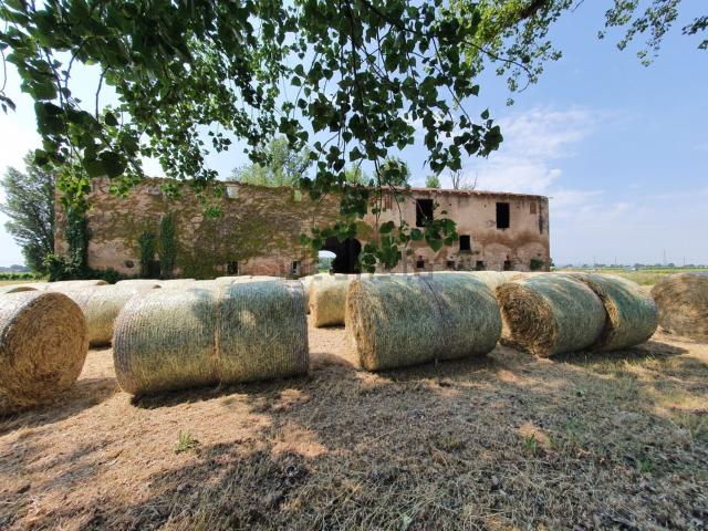 Proprietà rustica in vendita di 2380 m²