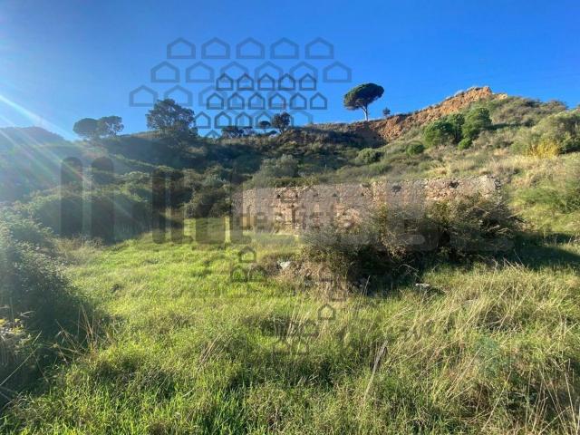 Proprietà rustica in vendita di 35000 m²