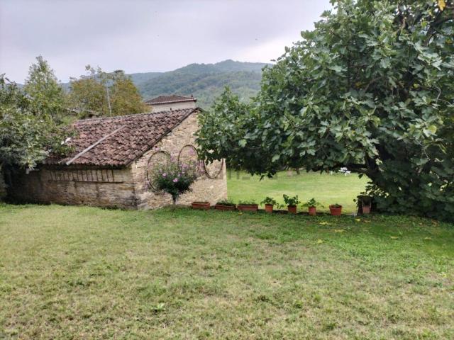 Proprietà rustica in vendita di 310 m² in Località Montalbero
