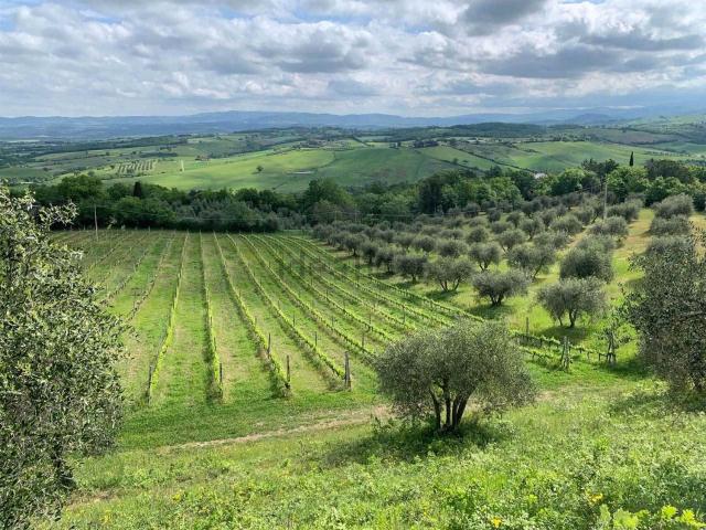 Proprietà rustica in vendita di 325 m²