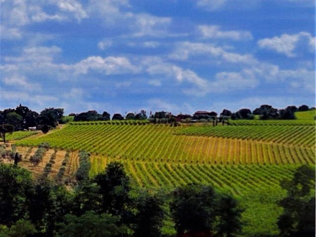 Proprietà rustica in vendita di 460 m²