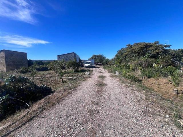 Proprietà rustica in vendita di 65030 m² in Corso dei Mille