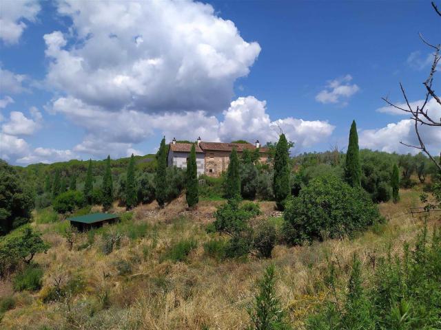Proprietà rustica in vendita di 600 m²