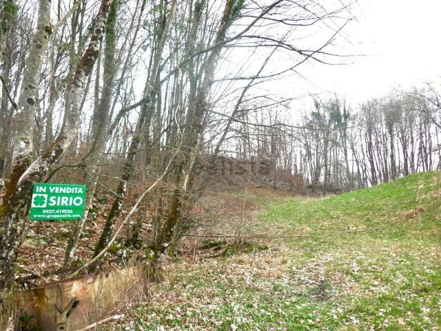 Proprietà rustica in vendita di 6032 m²