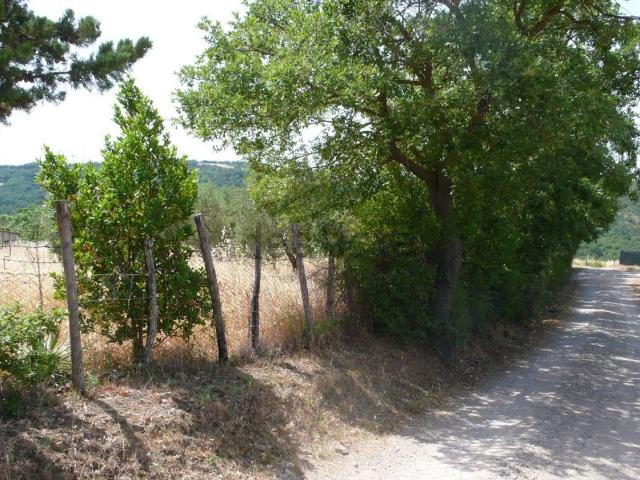 Proprietà rustica in vendita di 60 m²