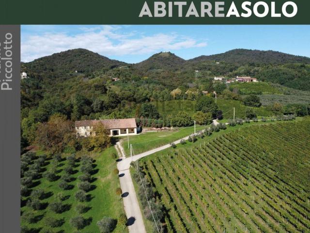 Proprietà rustica in vendita di 620 m² in Piazza della Pieve