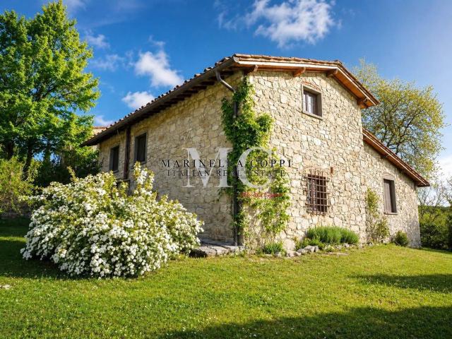 Proprietà rustica in vendita di 796 m² in Via Fiorentina