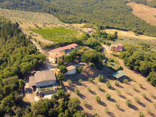 Proprietà rustica in vendita di 802 m² in Via C.s. Fosse, 16