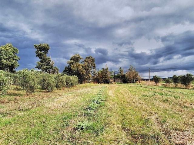 Proprietà rustica in vendita di 81 m²