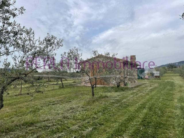 Proprietà rustica in vendita di 9855 m²