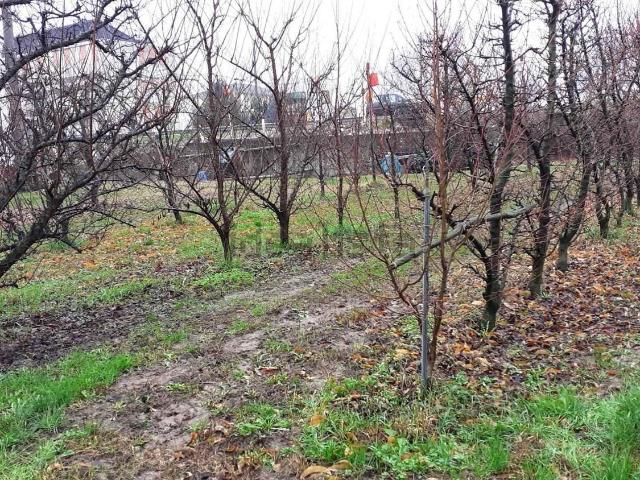 Proprietà rustica in vendita di 999999 m²