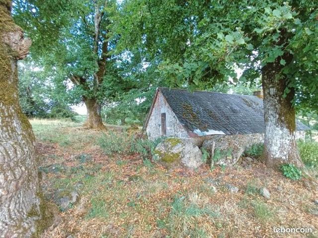 Propriété 3 pièces 100 m²