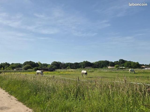 Propriété 3 pièces 55 m²