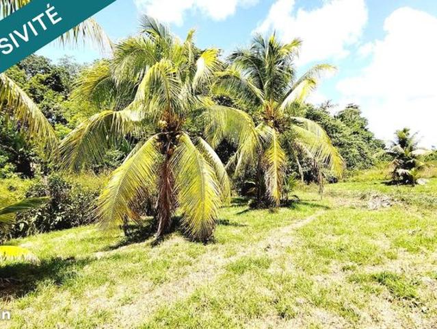 Propriété 3 pièces 88 m²