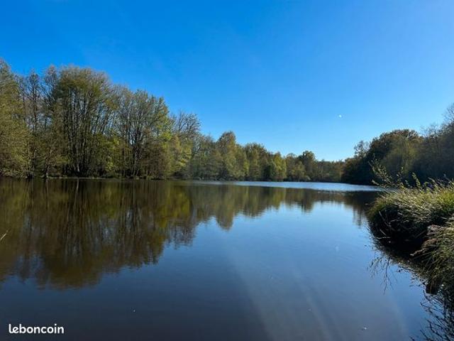 Propriété 10 pièces 200 m²
