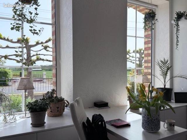 Propriété 10 pièces 222 m²