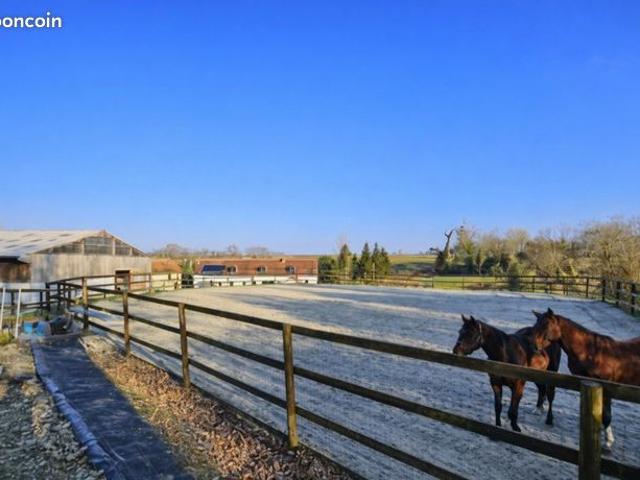 Propriété 11 pièces 195 m²