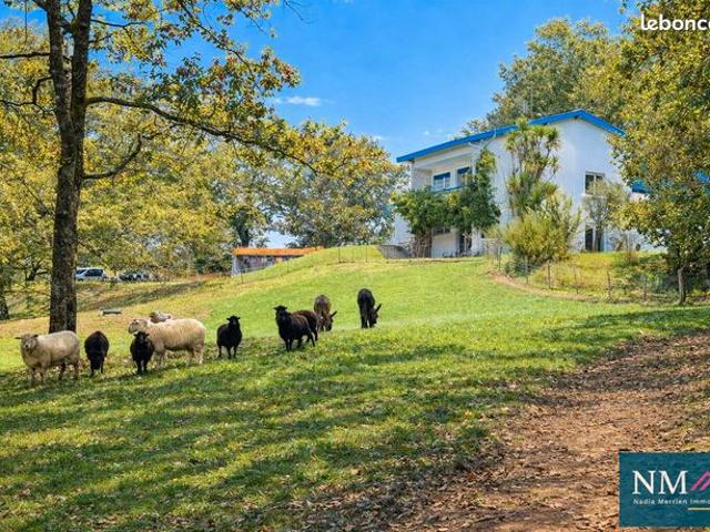 Propriété 11 pièces 290 m²